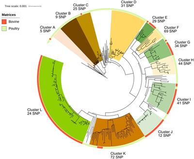 Tell me if you prefer bovine or poultry sectors and I’ll tell you who you are: Characterization of Salmonella enterica subsp. enterica serovar Mbandaka in France